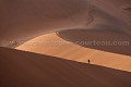 Dunes de sables rouge de Sossusvlei. Désert du Namib. Namibie. -- Red Dunes of Sossusvlei. Namib Desert. Namibia 
 Africa 
 Afrique 
 Afrique australe 
 Namib 
 Namibia 
 Namibie 
 Nauckluft 
 Park 
 Photographic Safari 
 Red 
 Sand 
 Wilderness 
 animal 
 animaux 
 desert 
 dunes 
 désert 
 nature 
 nature Africa 
 nature desert 
 photo 
 rouge 
 sable 
 safari 
 safari photo 
 sauvage 
 southern 
 southern africa 
 Namibia, 
 Namib Nauckluft National Park.,  