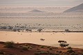 Dunes de sables rouge de Sossusvlei. Désert du Namib. Namibie. -- Red Dunes of Sossusvlei. Namib Desert. Namibia 
 Africa 
 Afrique 
 Afrique australe 
 Botswana 
 Kalahari 
 Namib 
 Namibia 
 Namibie 
 Nauckluft 
 Park 
 Photographic Safari 
 Red 
 Sand 
 Wilderness 
 animal 
 animaux 
 desert 
 dunes 
 désert 
 nature 
 nature Africa 
 nature desert 
 photo 
 rouge 
 sable 
 safari 
 safari photo 
 sauvage 
 southern 
 southern africa 
 Namibia, 
 Namib Nauckluft National Park.,  