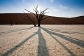 Dead Vlei, arbres fossilisés dans les Dunes de sables rouge de Sossusvlei. Désert du Namib. Namibie. -- Red Dunes of Sossusvlei. Namib Desert. Namibia 
 Africa 
 Afrique 
 Afrique australe 
 Namib 
 Namibia 
 Namibie 
 Nauckluft 
 Park 
 Photographic Safari 
 Red 
 Sand 
 Wilderness 
 animal 
 animaux 
 desert 
 dunes 
 désert 
 nature 
 nature Africa 
 nature desert 
 photo 
 rouge 
 sable 
 safari 
 safari photo 
 sauvage 
 southern 
 southern africa 
 Namibia, 
 Namib Nauckluft National Park.,  