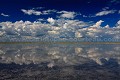 
 Africa 
 Afrique 
 Botswana 
 Kalahari 
 Wilderness 
 african 
 desert 
 désert 
 safari 
 safari photo 
 southern 
 southern africa  