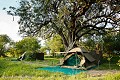 Delta de l'Okavango. Afrique 
 Botswana 
 Kalahari 
 Wilderness 
 african 
 desert 
 désert 
 safari 
 safari photo 
 southern 
 southern africa 