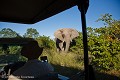  
 Afrique 
 Botswana 
 Kalahari 
 Wilderness 
 african 
 desert 
 désert 
 nature 
 safari 
 safari photo 
 southern 
 southern africa  