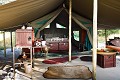  
 Afrique 
 Botswana 
 Kalahari 
 Wilderness 
 african 
 desert 
 désert 
 safari 
 safari photo 
 southern 
 southern africa  