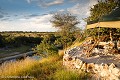  
 Afrique 
 Botswana 
 Kalahari 
 Wilderness 
 african 
 desert 
 désert 
 safari 
 safari photo 
 southern 
 southern africa  