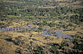 Botswana Delta Okavango saison pluies paysage zone humide forêts savane arbre Botswana Afrique eau rivière palmiers vue érienne 