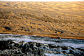  Namibie côte squelettes désert Namib dunes sable Atlantique littoral sauvage vagues courrant froid Benguela marée 