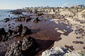 Le Pouliguen. Marée noire de l'Erika.
Janvier 2000.
 Marée noire Le Pouliguen janvier 2000 catastrophe Erika Bretagne falaises mazout pétrole naufrage pollution 