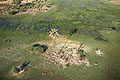 Saison sèche. Botswana Afrique palmier arbre solitaire zone humide îlot delta Okavango Botswana paysage saison sèche herbe verte marais eau douce 