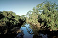  forêt zone humide Pantanal marécages  paysage forêt arbres eau douce bras dédale 