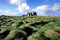  Pern Ouessant rochers granite Bretagne lande herbe Finistère île paysage désolation 