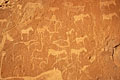 6.000 ans. Damaraland Afrique gravures désert rupestres Twyfelfontein Damaraland San Bushman  bushmen art pariétal Namibie Afrique 