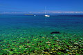  île Sein mer Iroise vert grève marée basse eau Bretagne pure algues Finistère littoral côte 