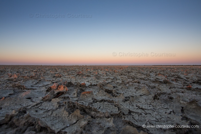 MOIS DE MARS 2013