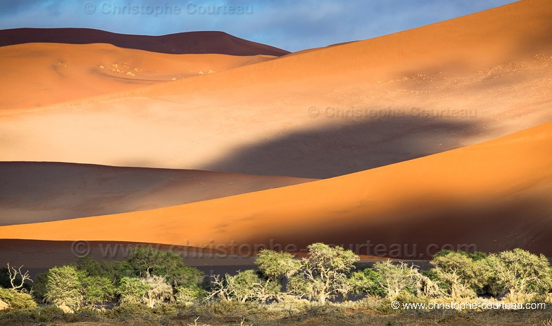 Red Sand Dunes