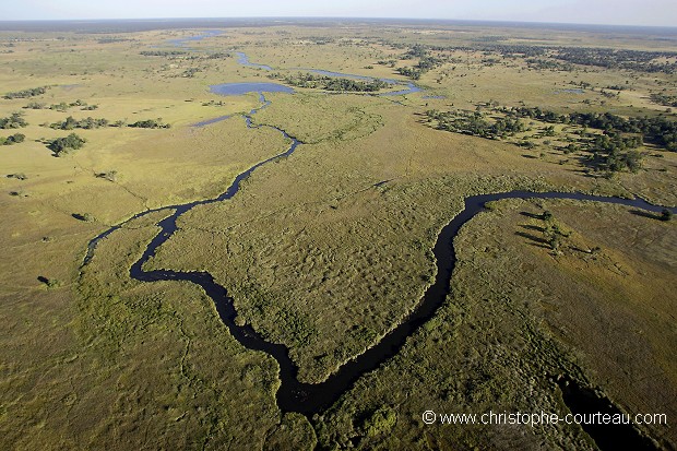 Chenal dans Delta de l'Okavango