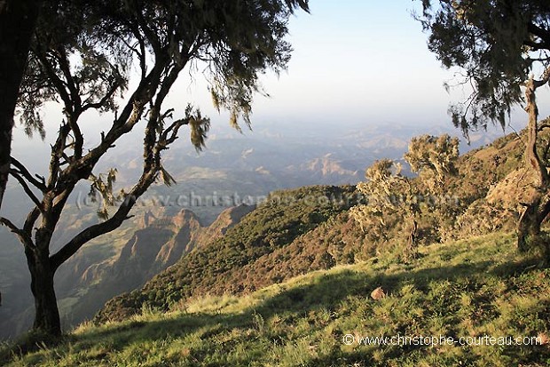 Simien National Park, Ethiopia