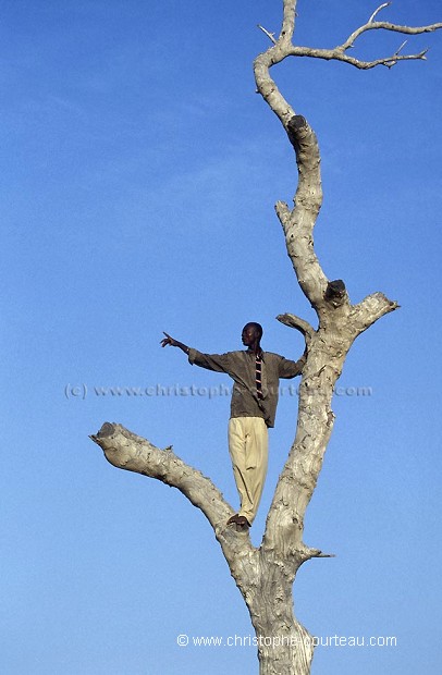 Bashir, guide au Niger, spcialiste des Girafes blanches