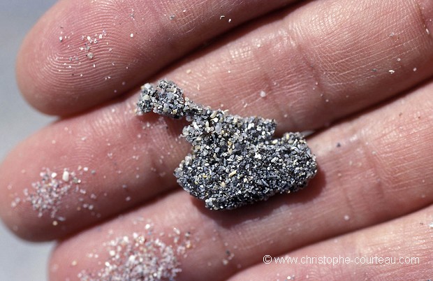 Boulette de fioul ramassée sur une plage de sable