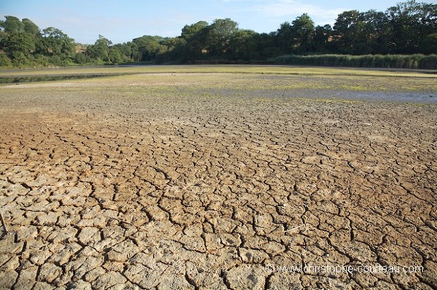 Wetland Drying-up in France.