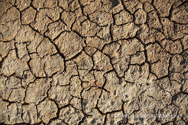 Terre craquele et dsseche l't sous le soleil lors de la canicule 2006.