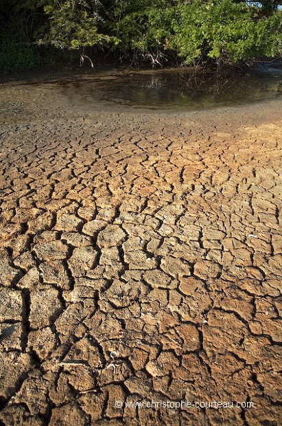 Terre craquele et dsseche l't sous le soleil lors de la canicule 2006.