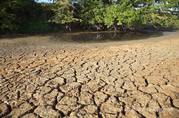 Terre craquelée et déssechée l'été sous le soleil lors de la canicule 2006.