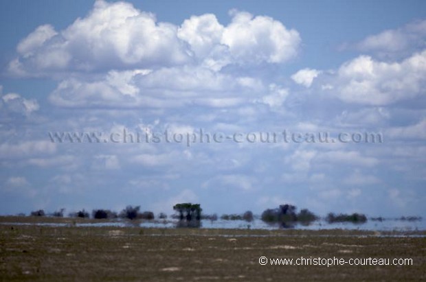 Mirage dans le Central Kalahari Desert