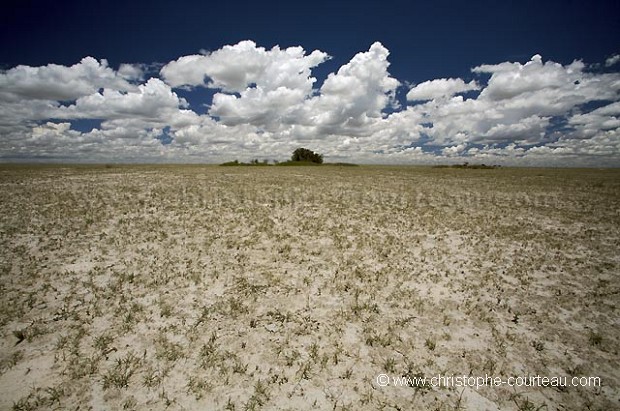 Central Kalahari - Botswana