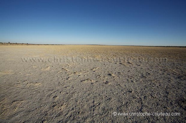 Kalahari Desert during the Dry Season.