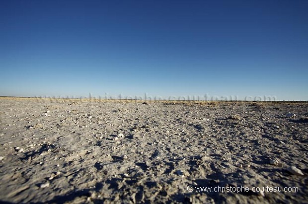 Kalahari Desert during the Dry Season.