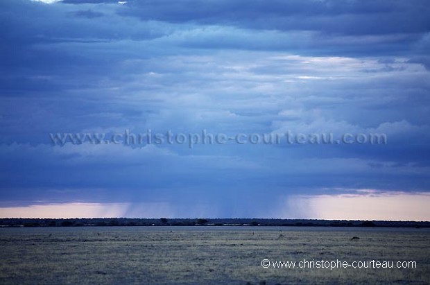 Orage et pluie sur le dsert du Kalahari