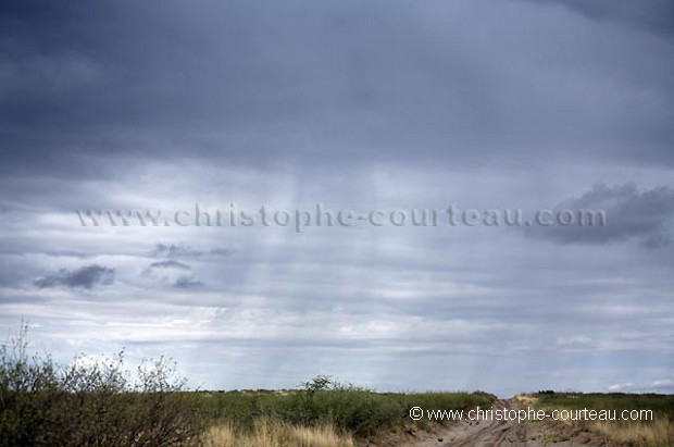 Rainfall on the Kalahari Desert