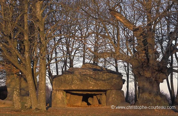 Gallery Grave  of La Roche aux Fes, in the Winter Light. 22 December Winter Day.