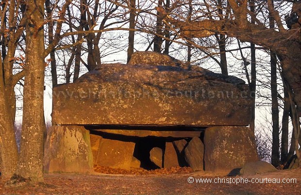 Dolmen de la Roche aux Fes