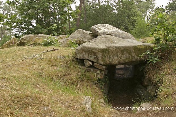 Gallery Grave  of Toulvern. Brittany