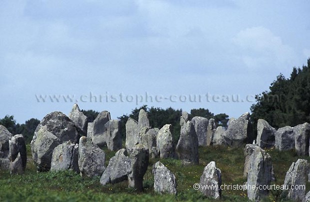 Alignement de Menhirs de Carnac.