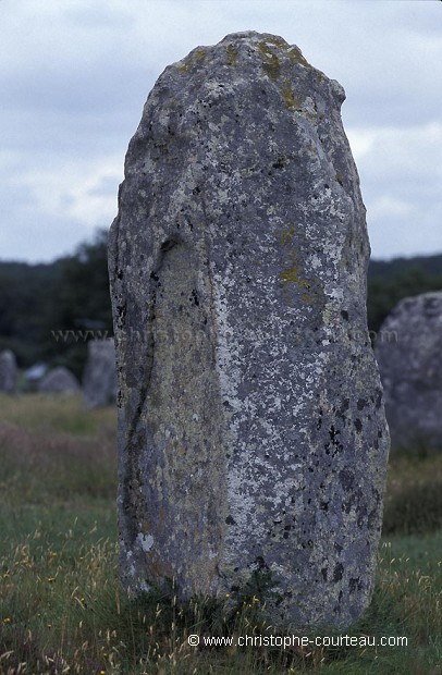 Carnac Megaliths Site.