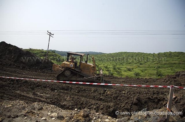 Plantation de palmiers à huile à Bornéo en plein travaux