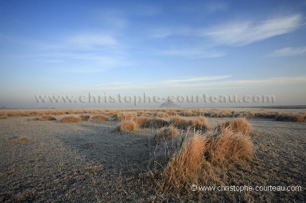 The Mont Saint Michel's Bay in winter