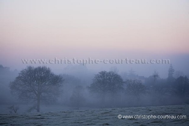 Brumes matinales dans le bocage en Bretagne - The early morning