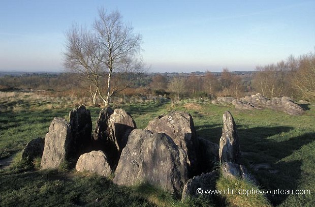 Covered Path. Dolmen called 