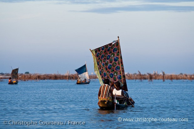 MOIS de FEVRIER 2009