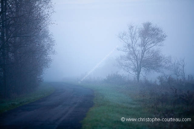 Paysage du Marais Poitevin