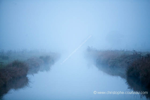 Paysage du Marais Poitevin