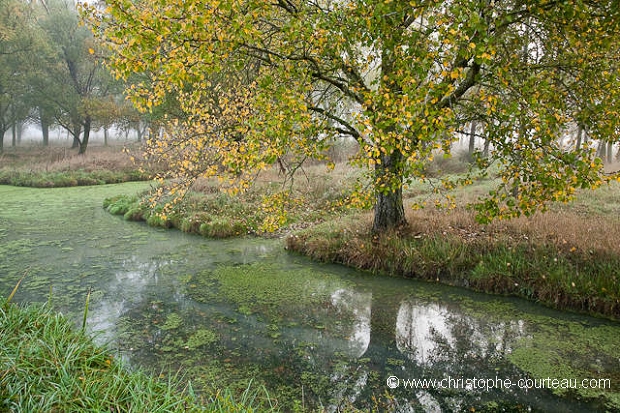 Marais Poitevin.