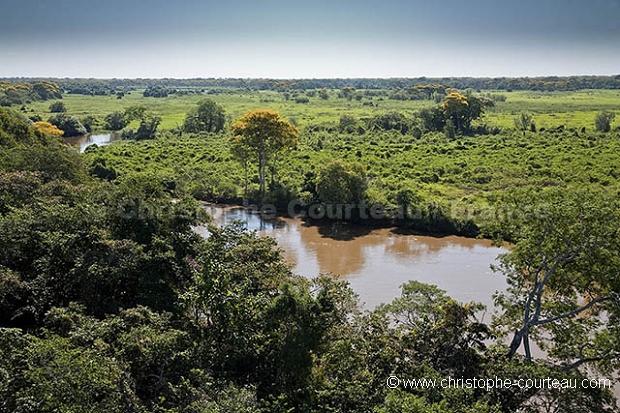 Paysage du Pantanal.