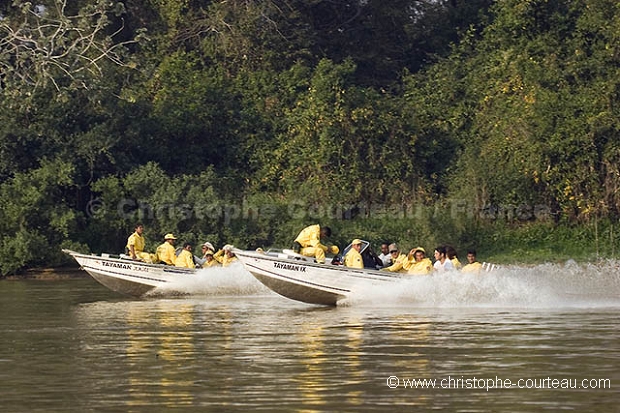 Pompiers en opration dans le Pantanal. / Firemen Operating in Pantanal.