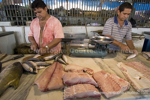 March aux poissons de Manaus