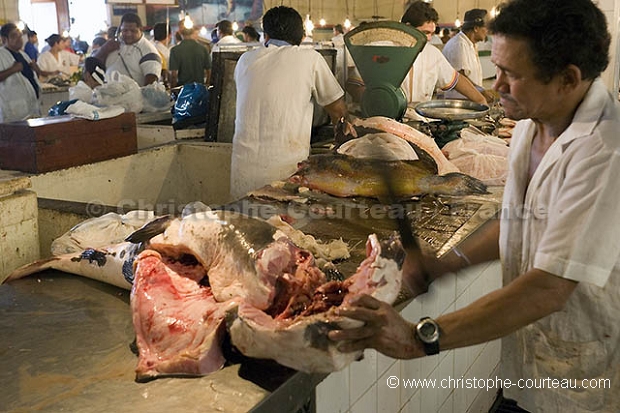 March aux poissons de Manaus