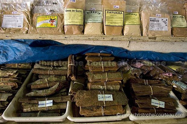 Marché aux plantes médicinales de Manaus